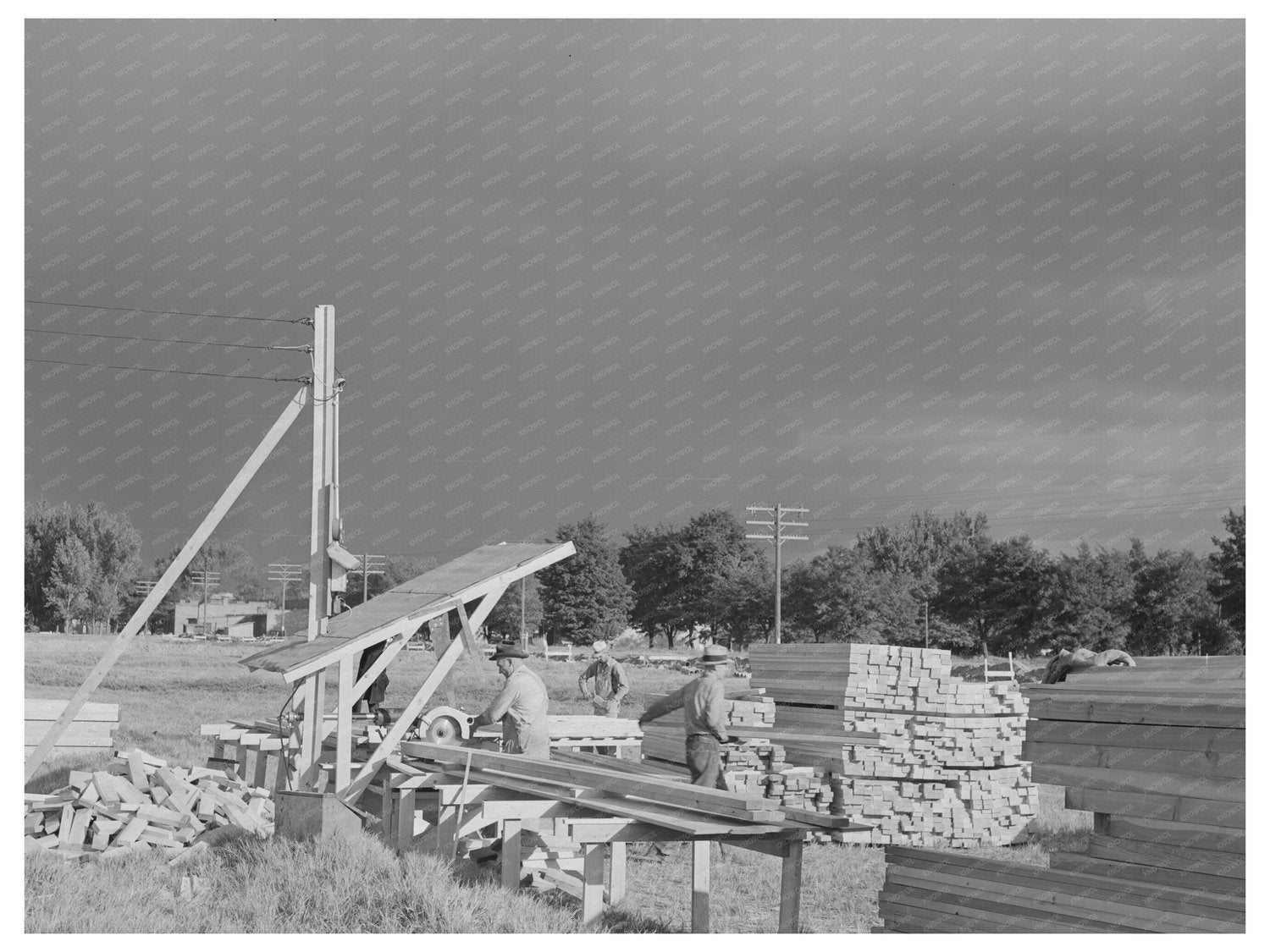 1941 Lumber Cutting for Sanitary Units in Oregon Camp