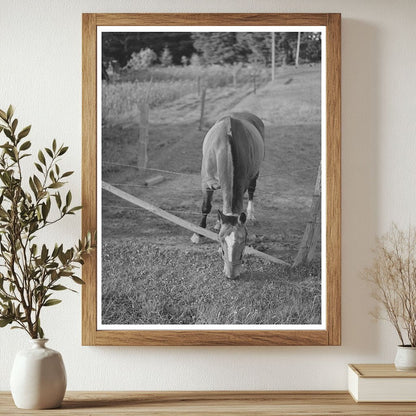 Vintage Rural Scene Clackamas County Oregon 1941