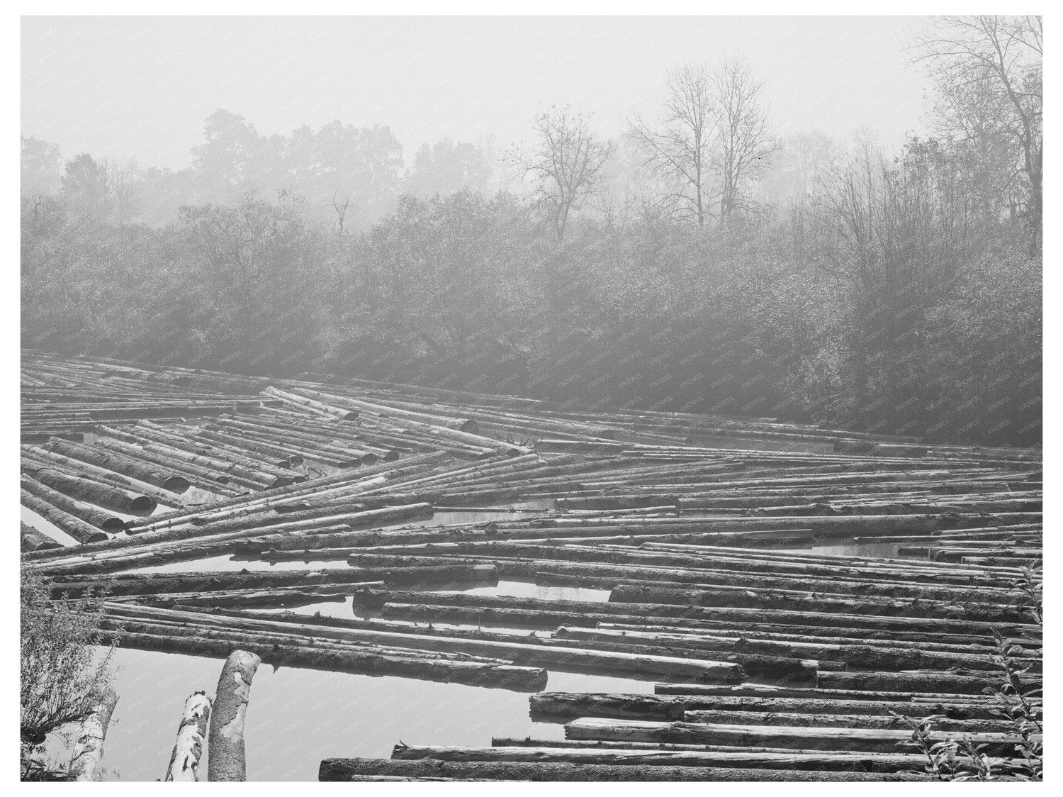 Cowlitz County log pond October 1941 historic image