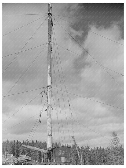 Long Bell Lumber Company Spar Tree Cowlitz County 1941