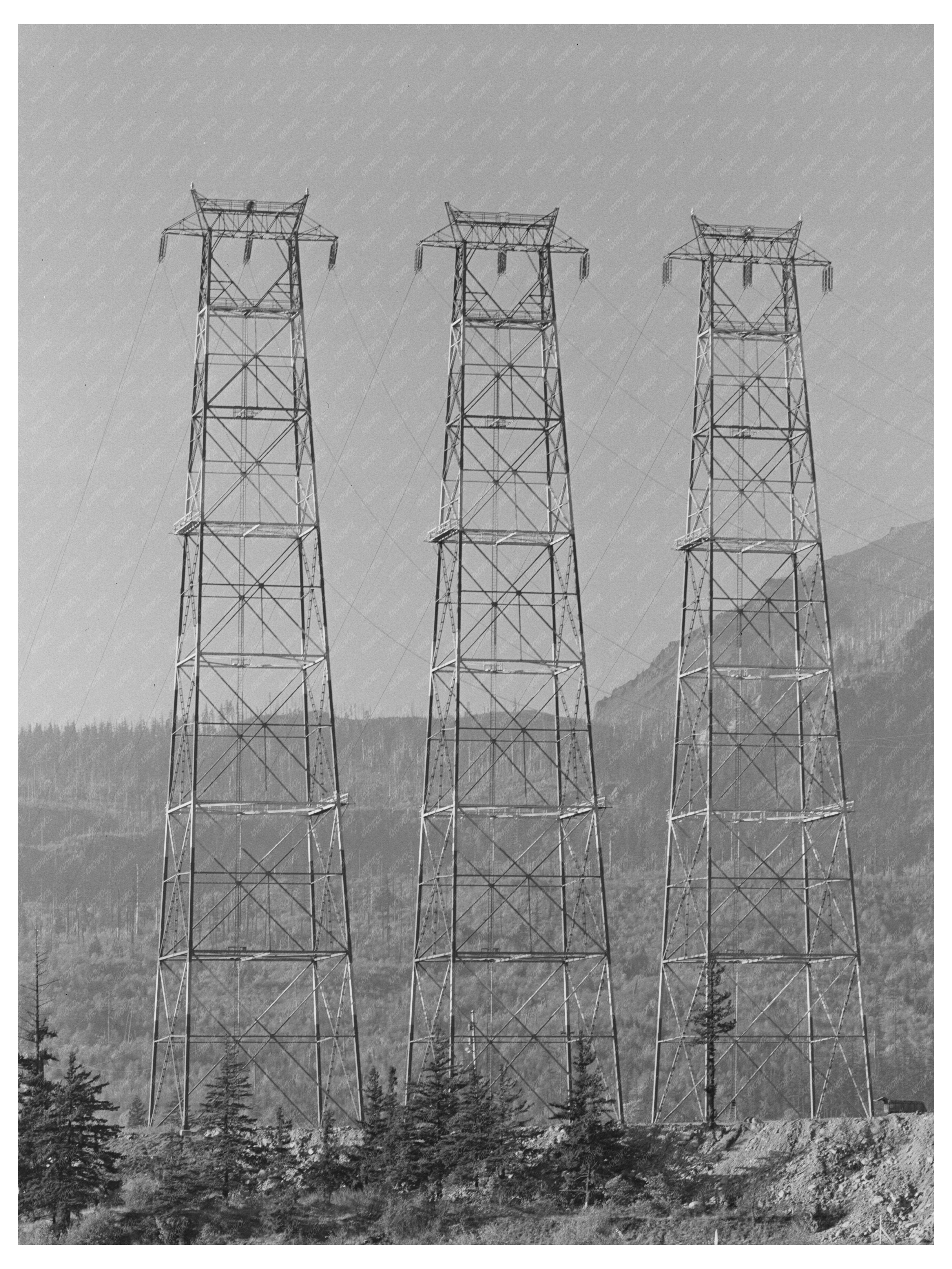 Bonneville Dam Crossing Towers Multnomah County 1941