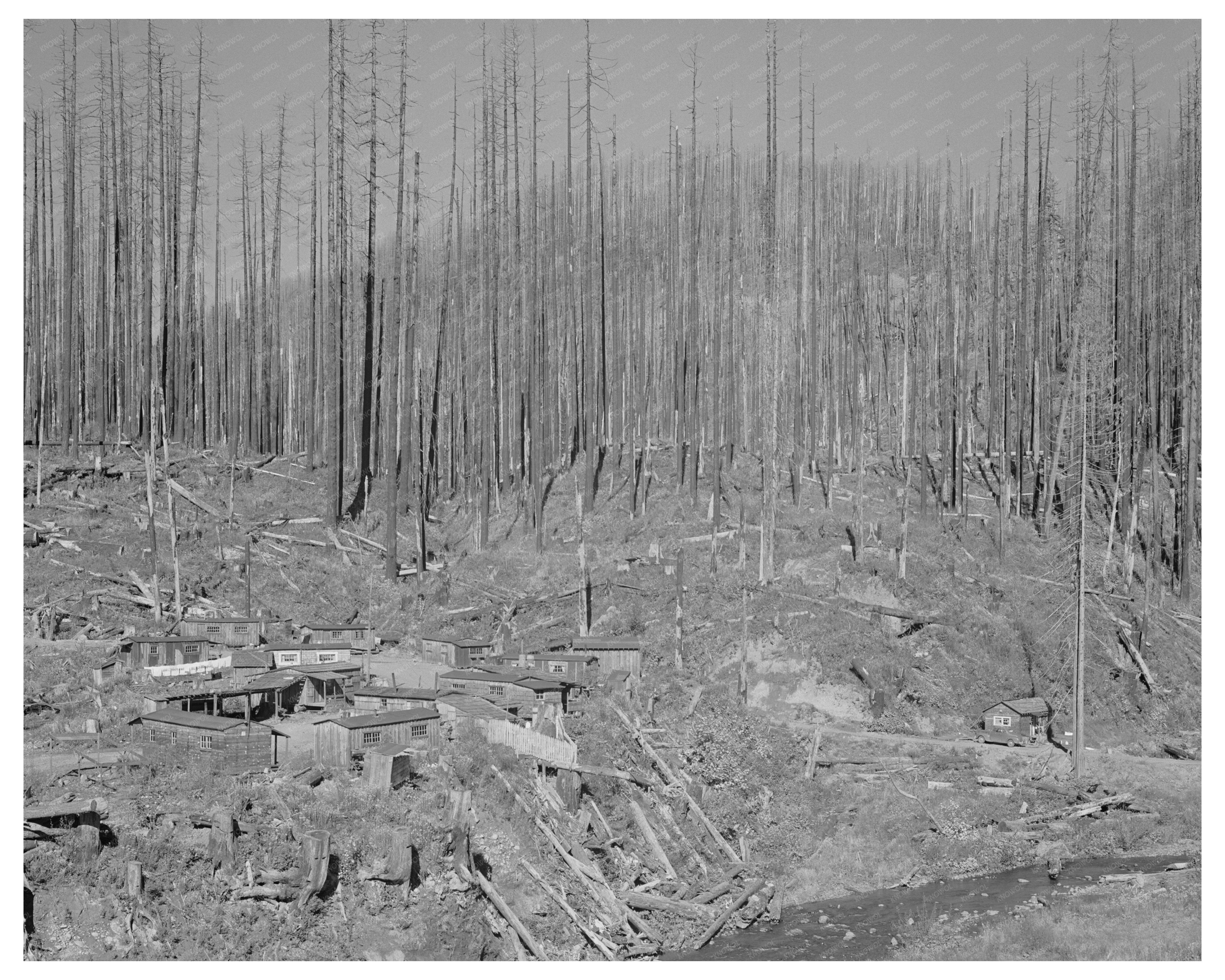 Tillamook County Lumber Worker Housing October 1941
