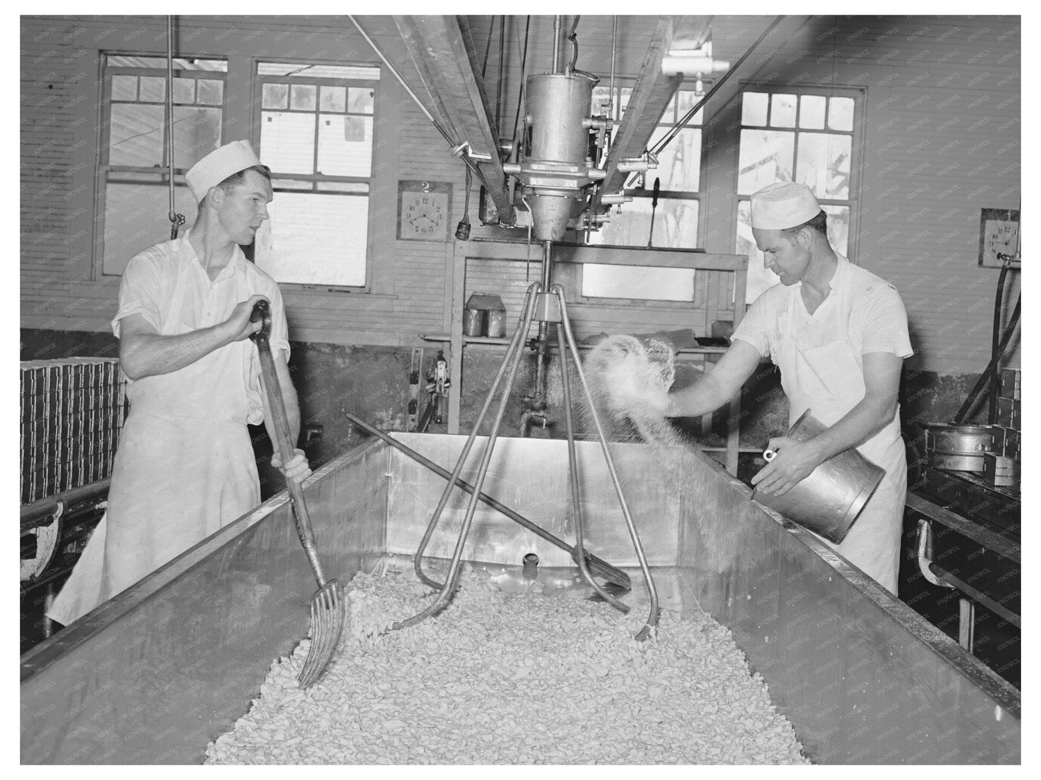 1941 Salting Curd Process at Tillamook Cheese Plant