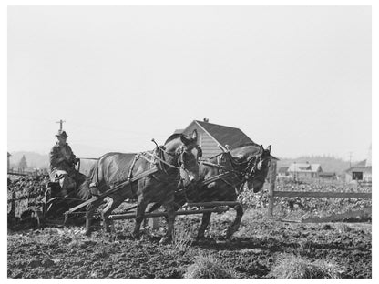 1941 Dairy Farm Manure Hauling in Tillamook County Oregon