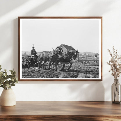 1941 Dairy Farm Manure Hauling in Tillamook County Oregon