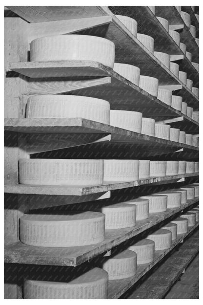 Tillamook Cheese Aging Process October 1941