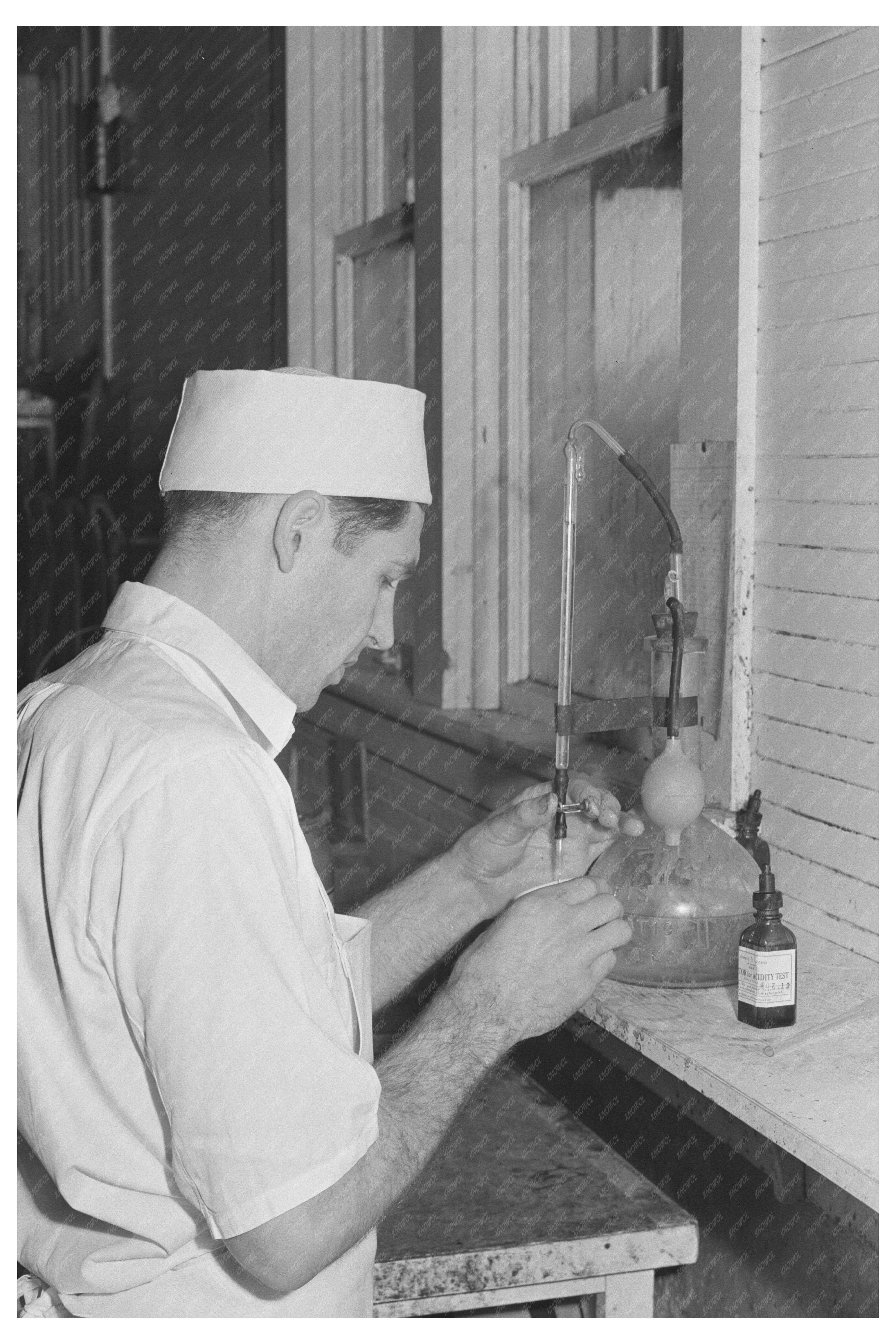 Acidity Test at Tillamook Cheese Plant October 1941