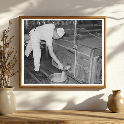 Whey Draining in Cheese Production Tillamook Oregon 1941