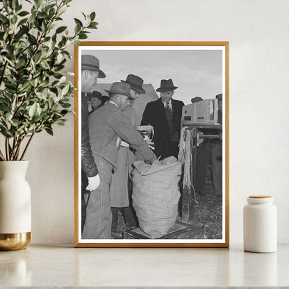 Corn Husk Weighing Contest Ontario Oregon November 1941