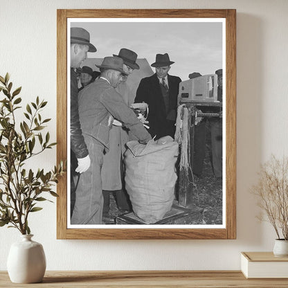 Corn Husk Weighing Contest Ontario Oregon November 1941