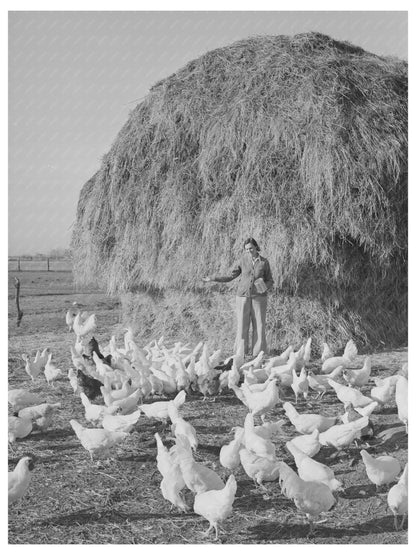 Farmers Wife Feeding Chickens Black Canyon Project 1941