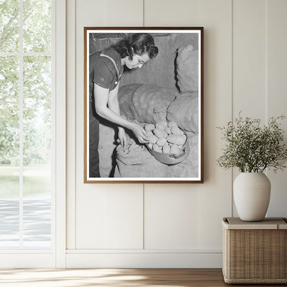 Mrs. Lee Wagoner Harvesting Potatoes Canyon County Idaho 1941