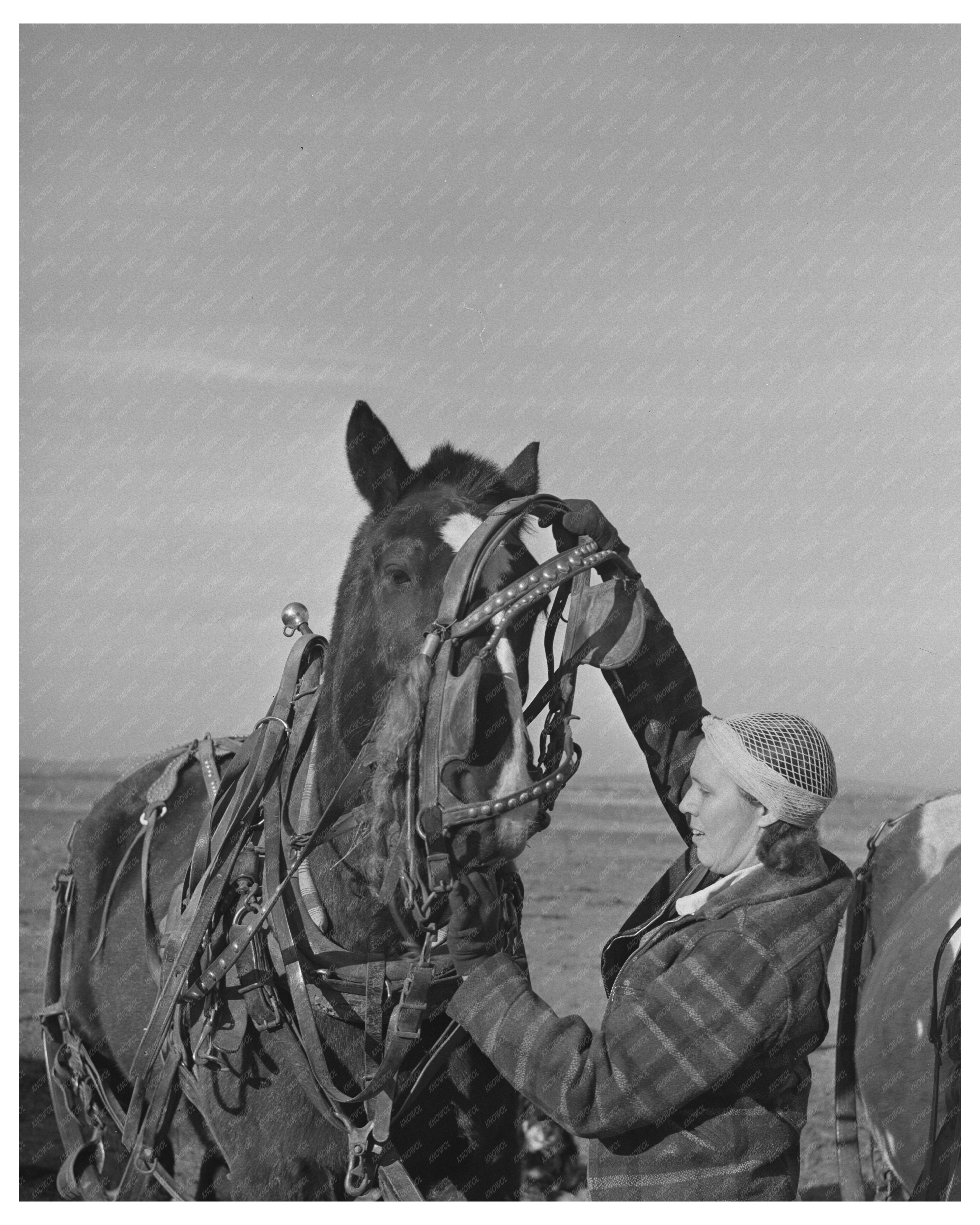 Farm Widow in Black Canyon Idaho 1941 FSA Support