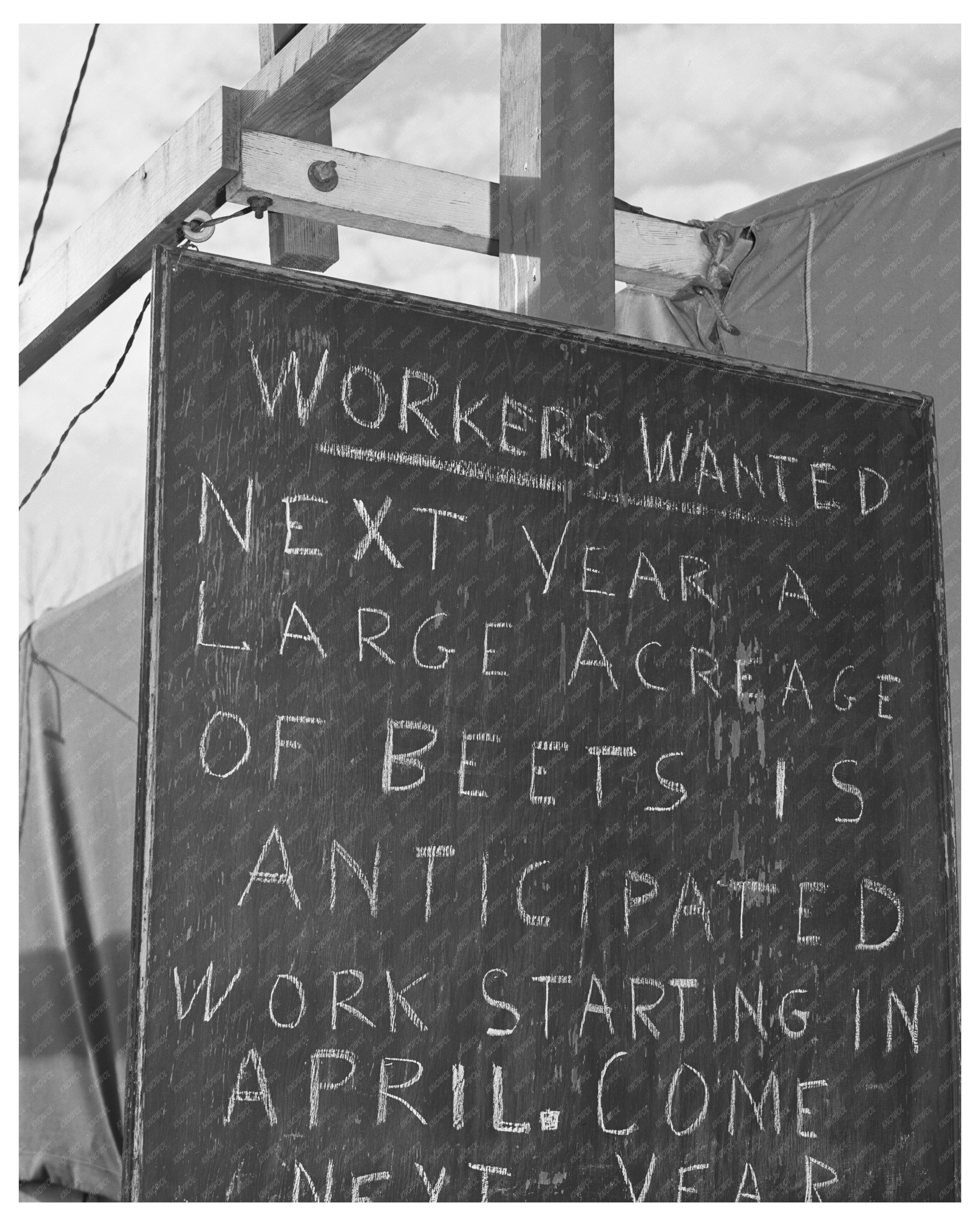 Vintage 1941 Mobile Camp for Farm Workers in Idaho
