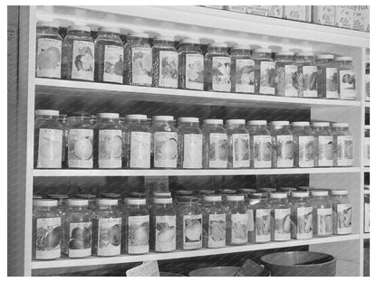 1941 Vintage Garden Seed Display in Ontario Oregon