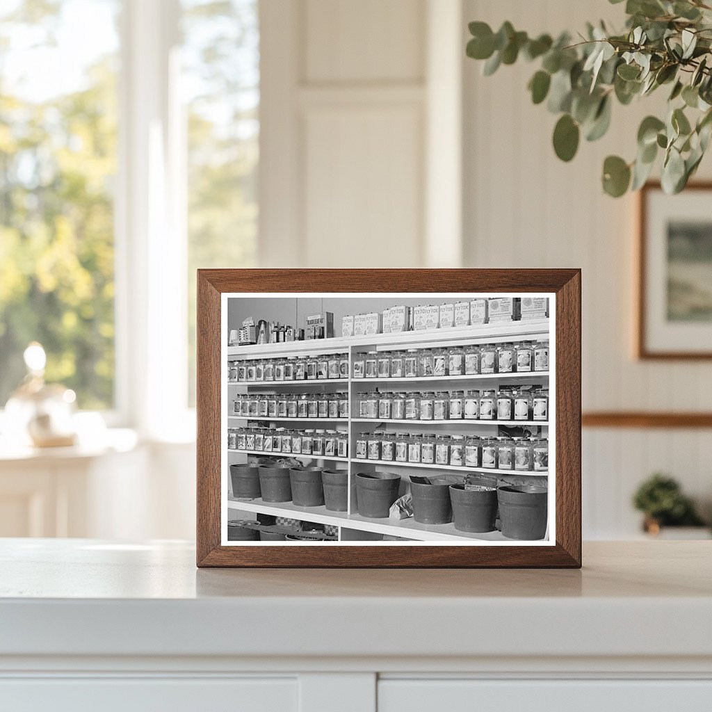 1941 Ontario Oregon Garden Seed Sale Vintage Photo