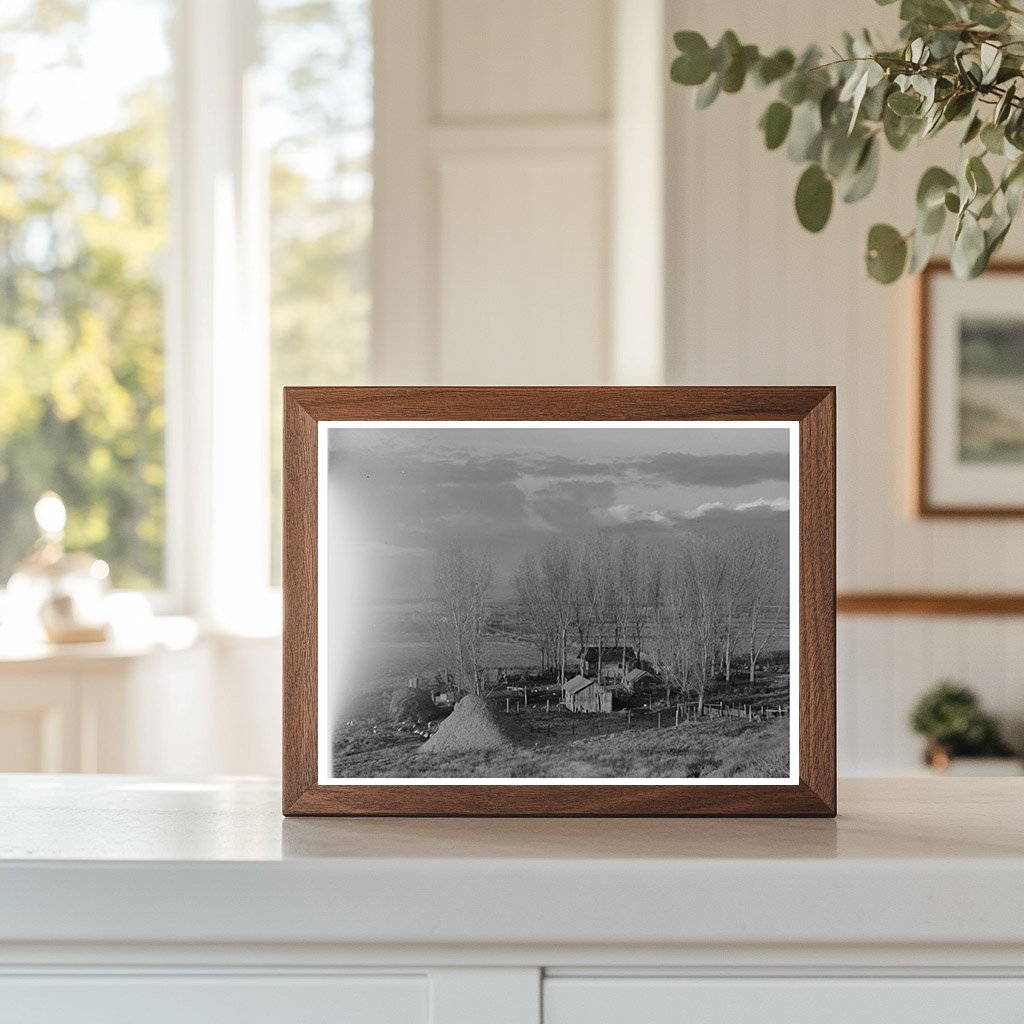 1941 Black Canyon Farmstead Idaho Agricultural Landscape