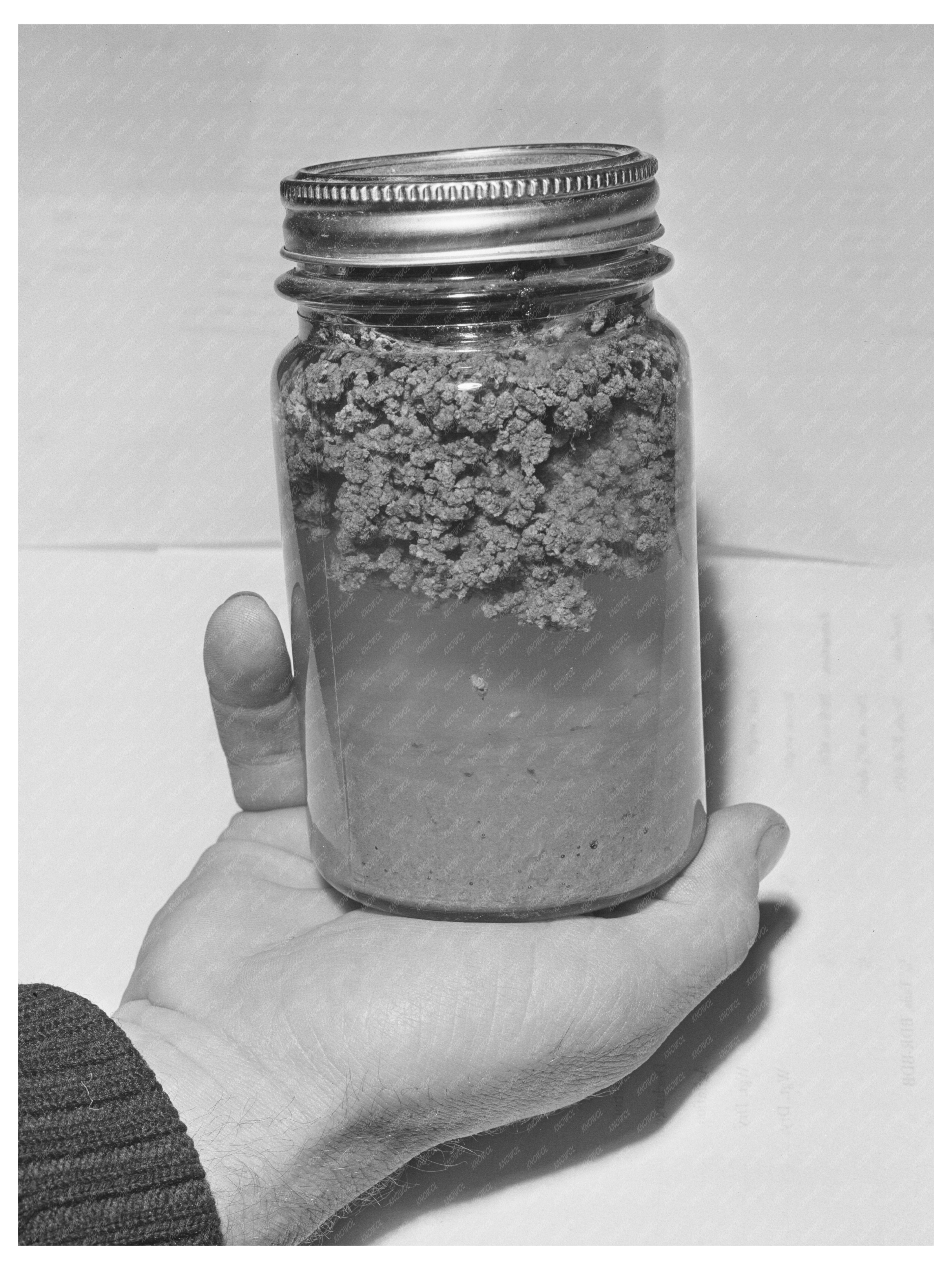 Rubber Extraction Process Exhibit December 1941