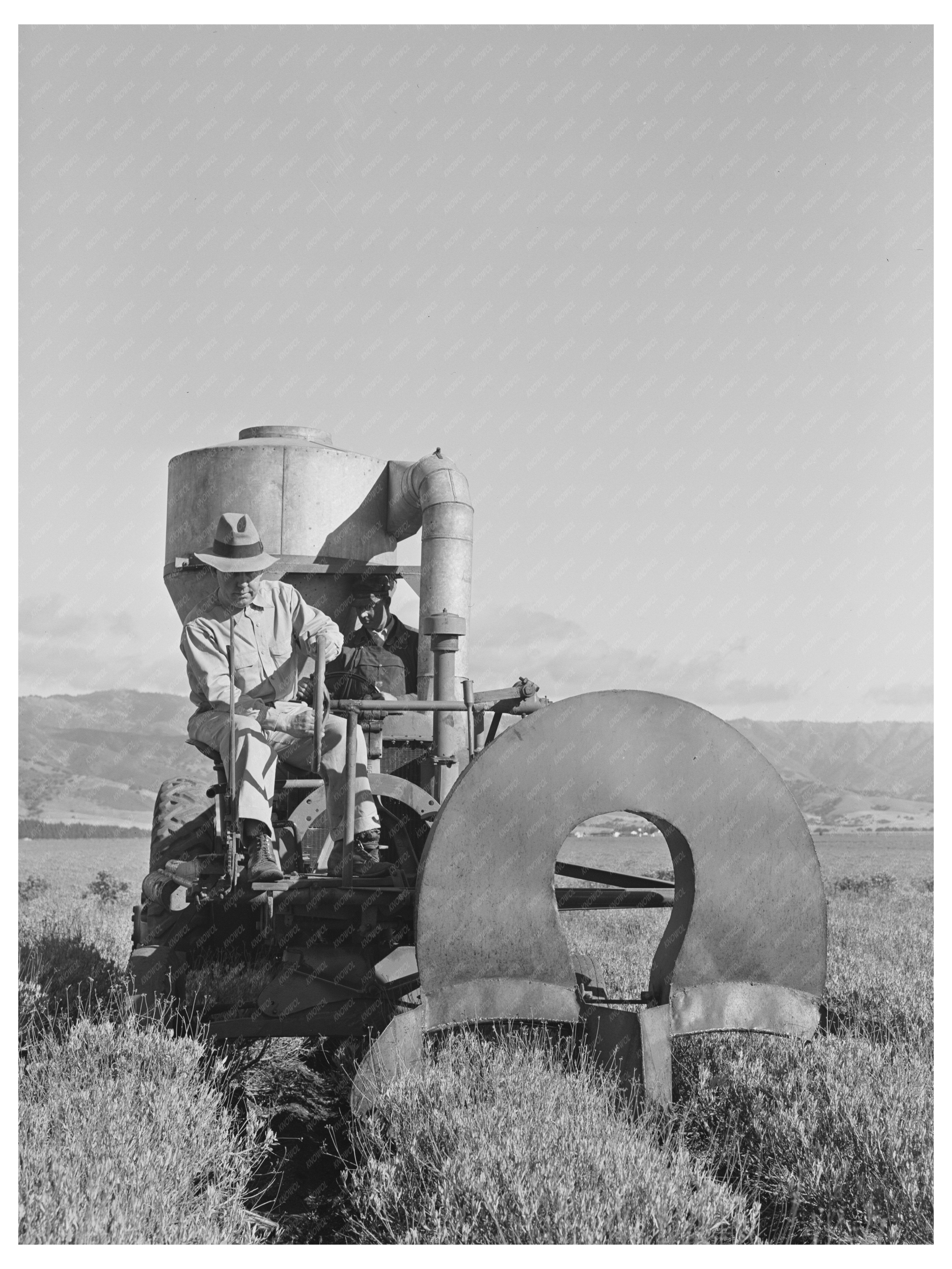 Guayule Seed Gathering Operation Salinas California 1941