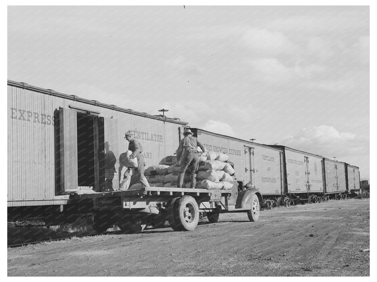 1941 Vintage Potato Loading in Klamath County Oregon