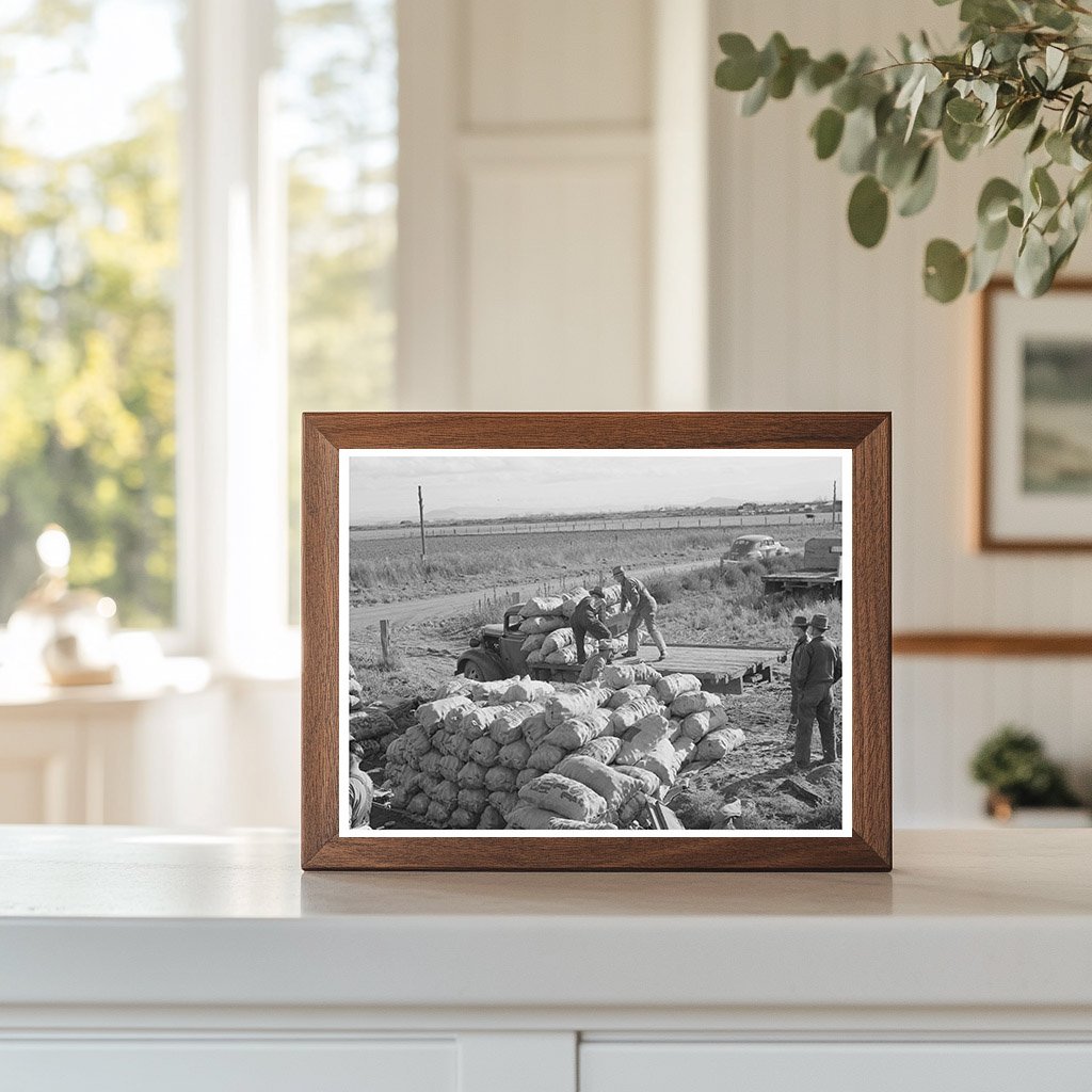 1941 Vintage Image of Loading Potatoes in Klamath County