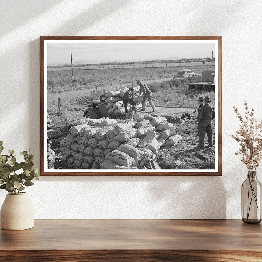 1941 Vintage Image of Loading Potatoes in Klamath County