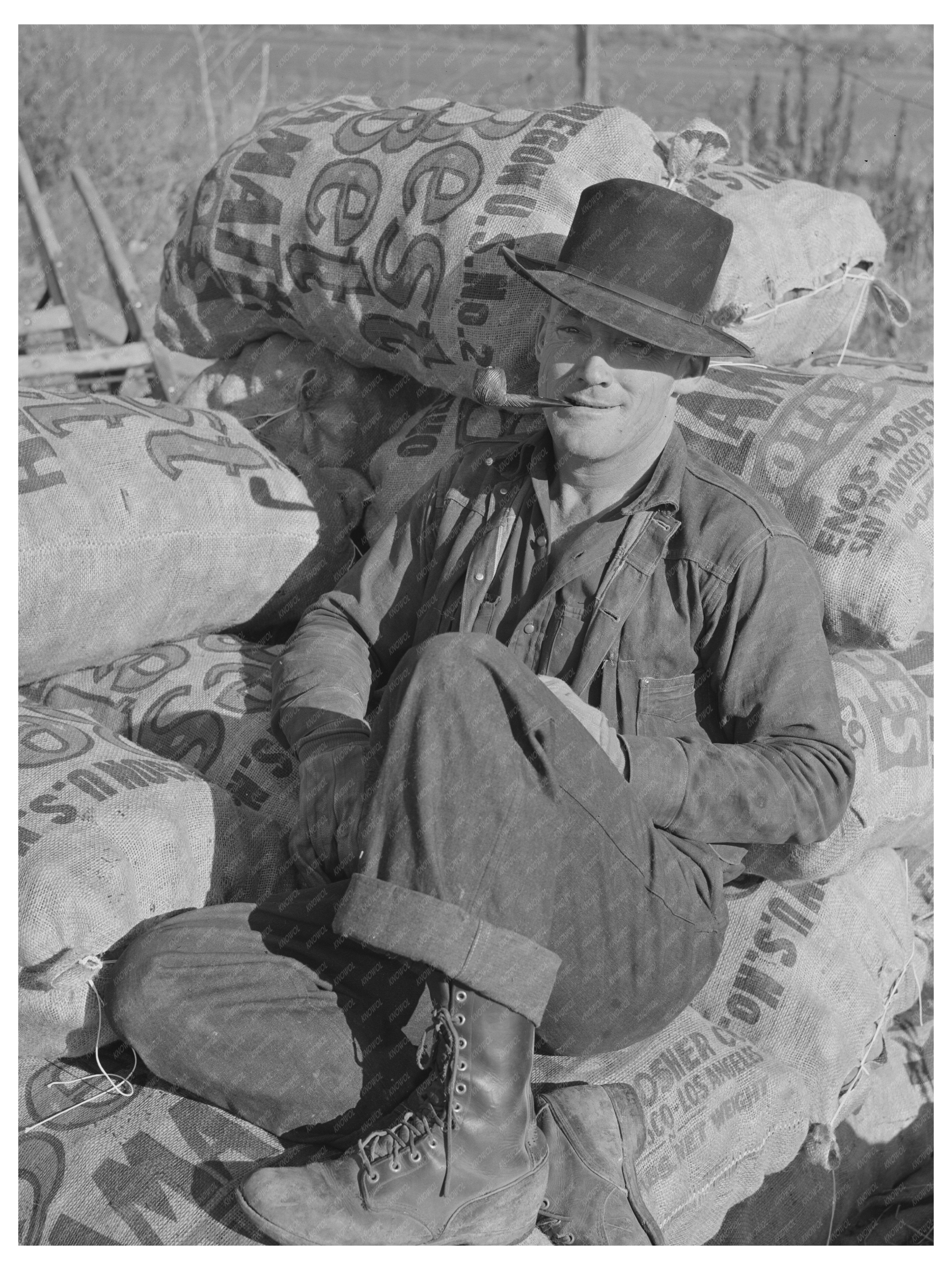 Laborer Resting on Potato Sack Pile Klamath County 1941