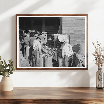 Grading and Sacking Potatoes in Klamath County 1941