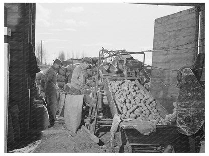 1941 Vintage Potato Cleaning Apparatus in Oregon Cellar