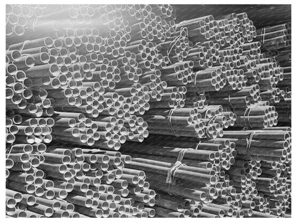 Shasta Dam Vintage Image December 1941 California Infrastructure