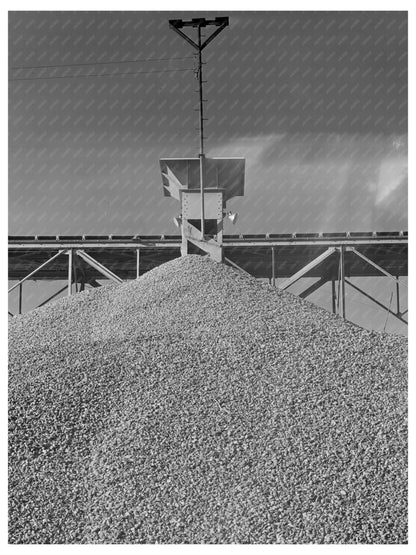 Gravel Transport for Shasta Dam Construction December 1941