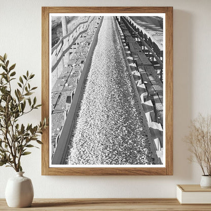 Gravel Belt Conveyor at Shasta Dam December 1941