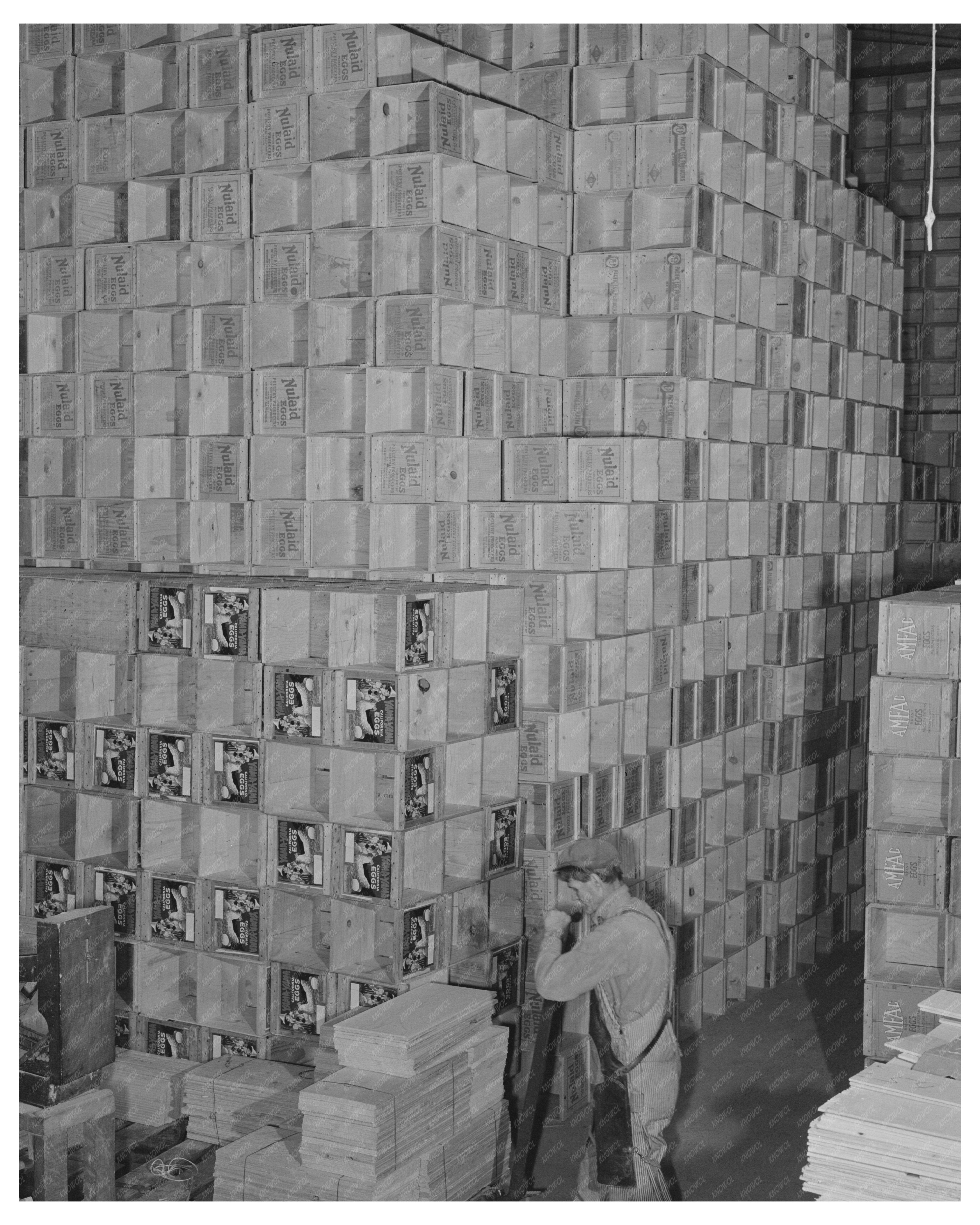 Petaluma Egg Storage Crates January 1942