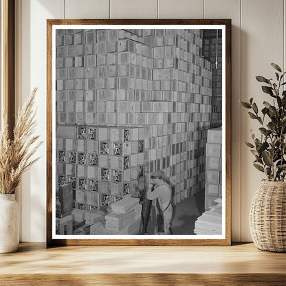 Petaluma Egg Storage Crates January 1942