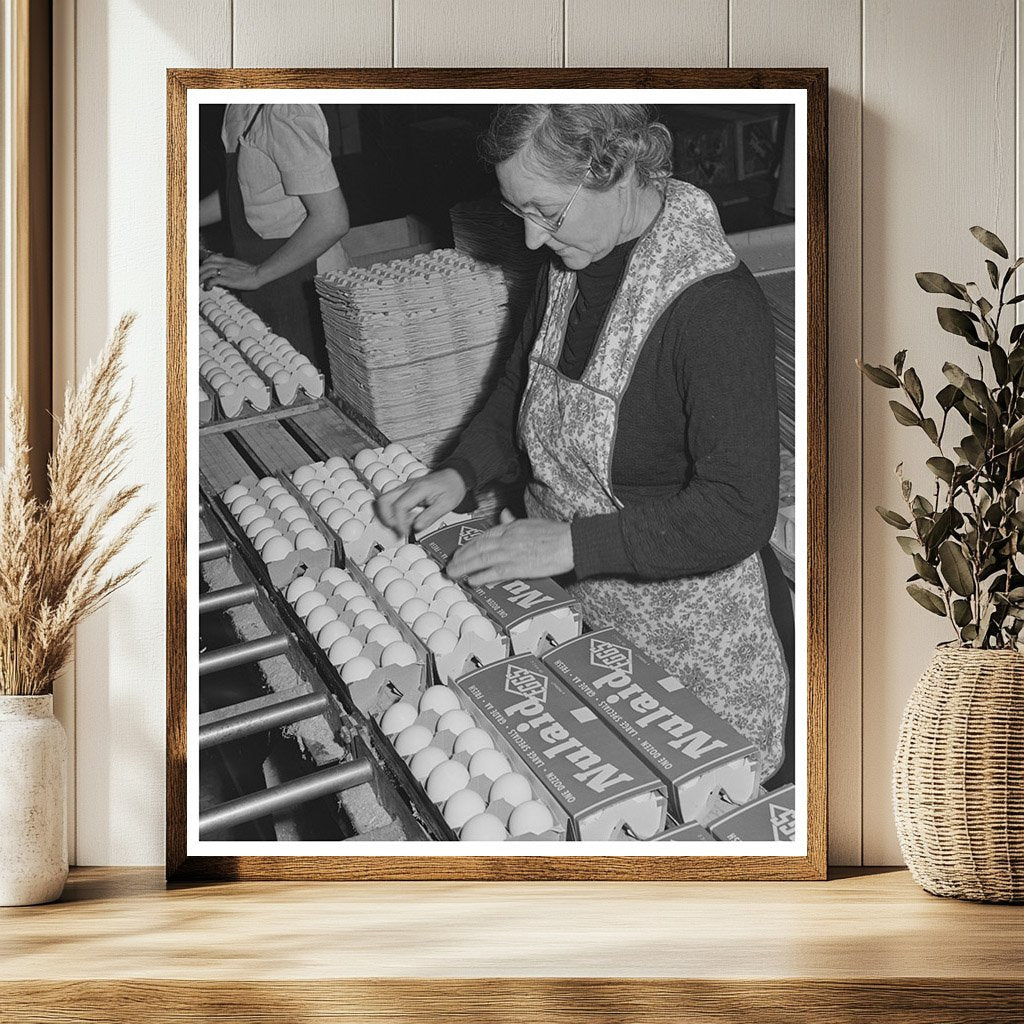 1942 Petaluma California Workers Packing Eggs
