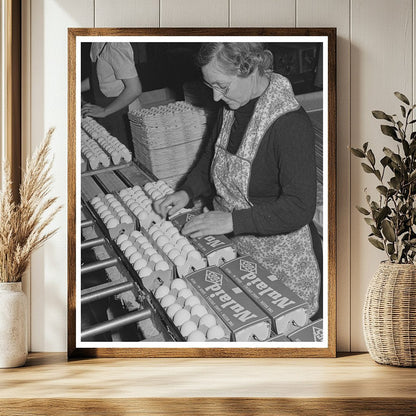 1942 Petaluma California Workers Packing Eggs
