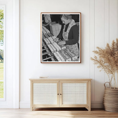 1942 Petaluma California Workers Packing Eggs