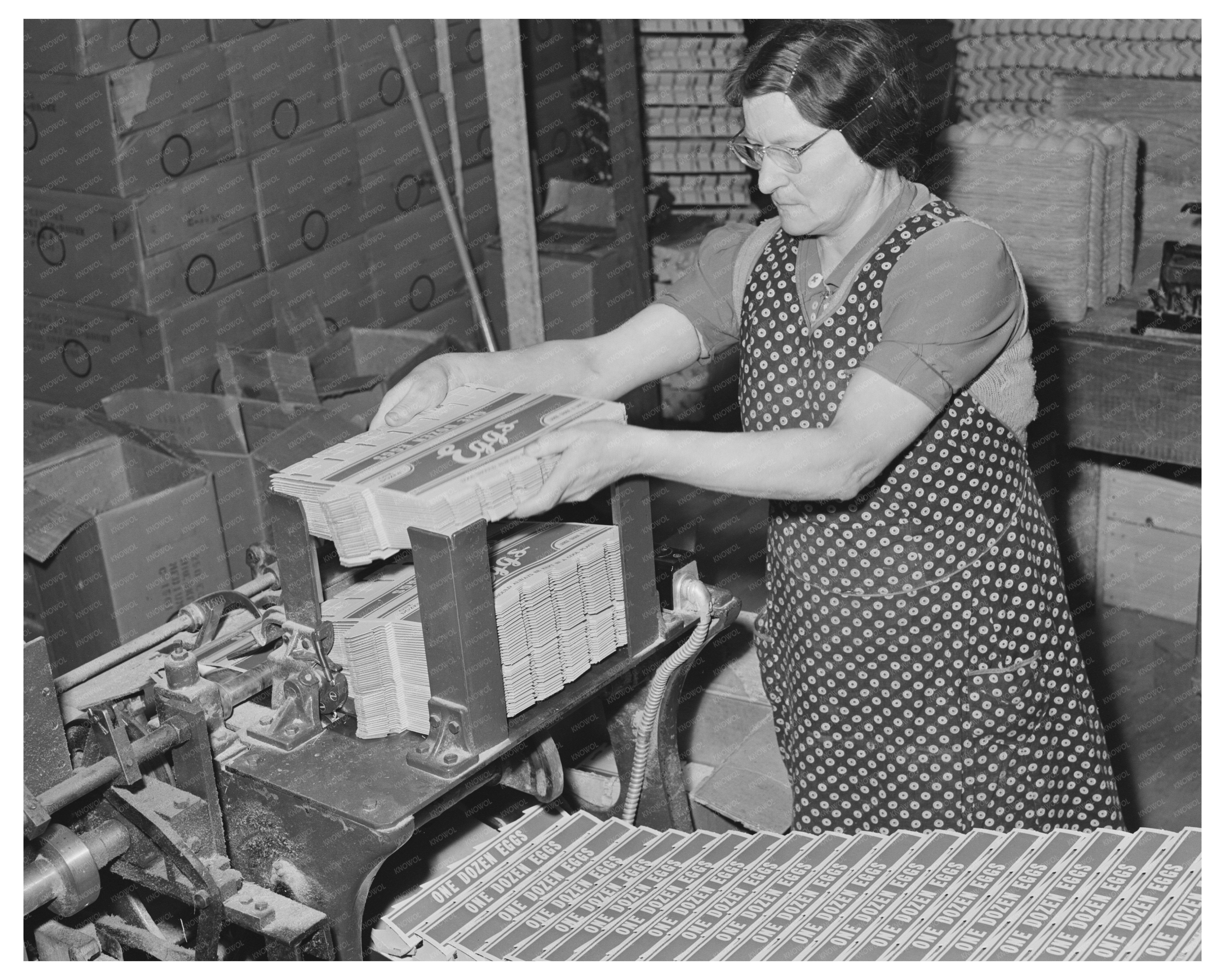 1942 Vintage Egg Packing Cardboard Cartons Petaluma CA