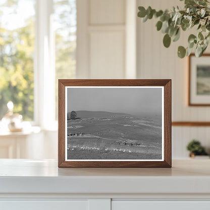 Vintage Chicken Ranch Sonoma County California 1942