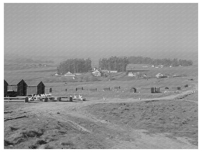 Sonoma County Chicken Ranches January 1942 Image