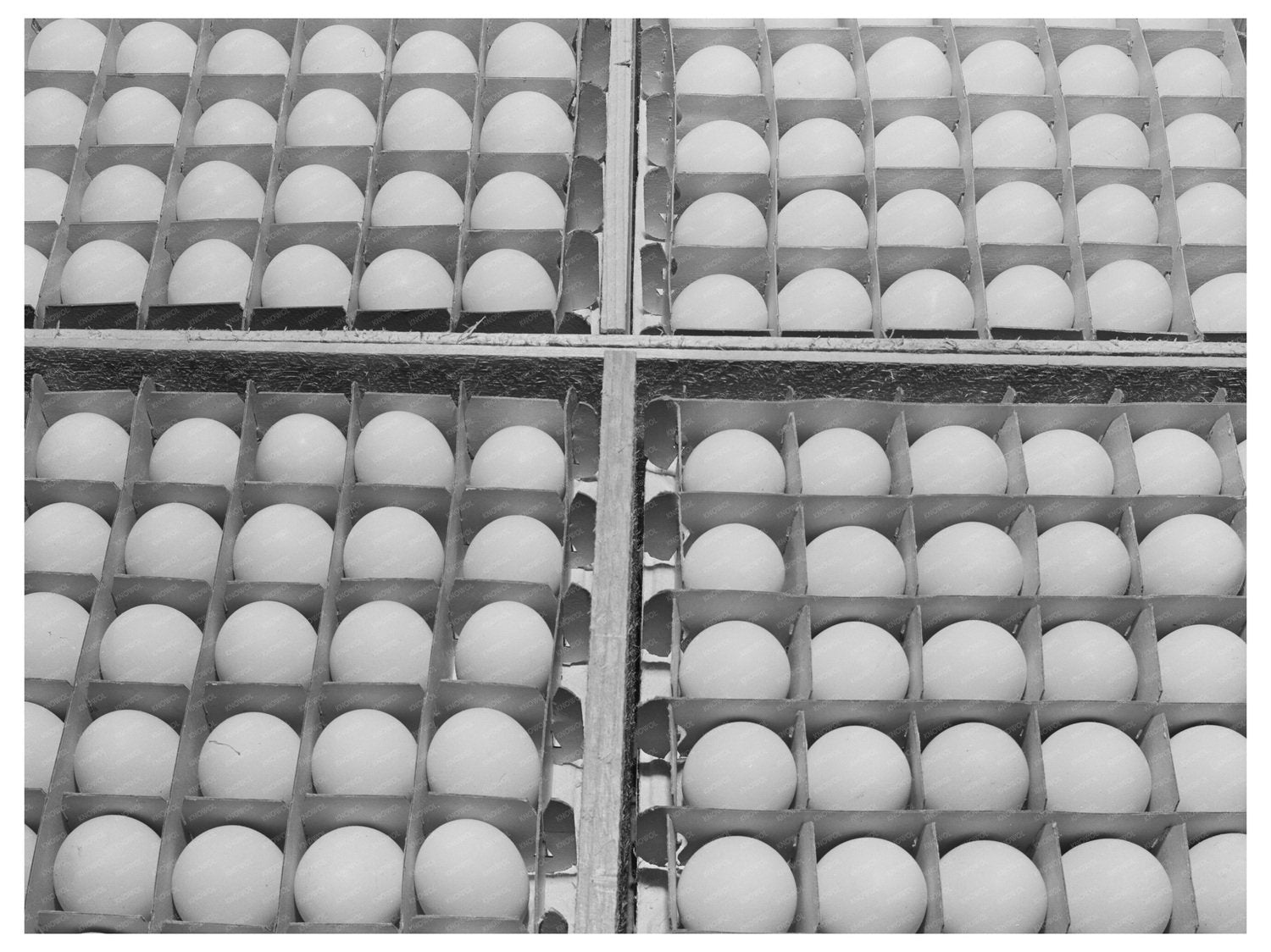 Sonoma County Eggs Vintage Image January 1942