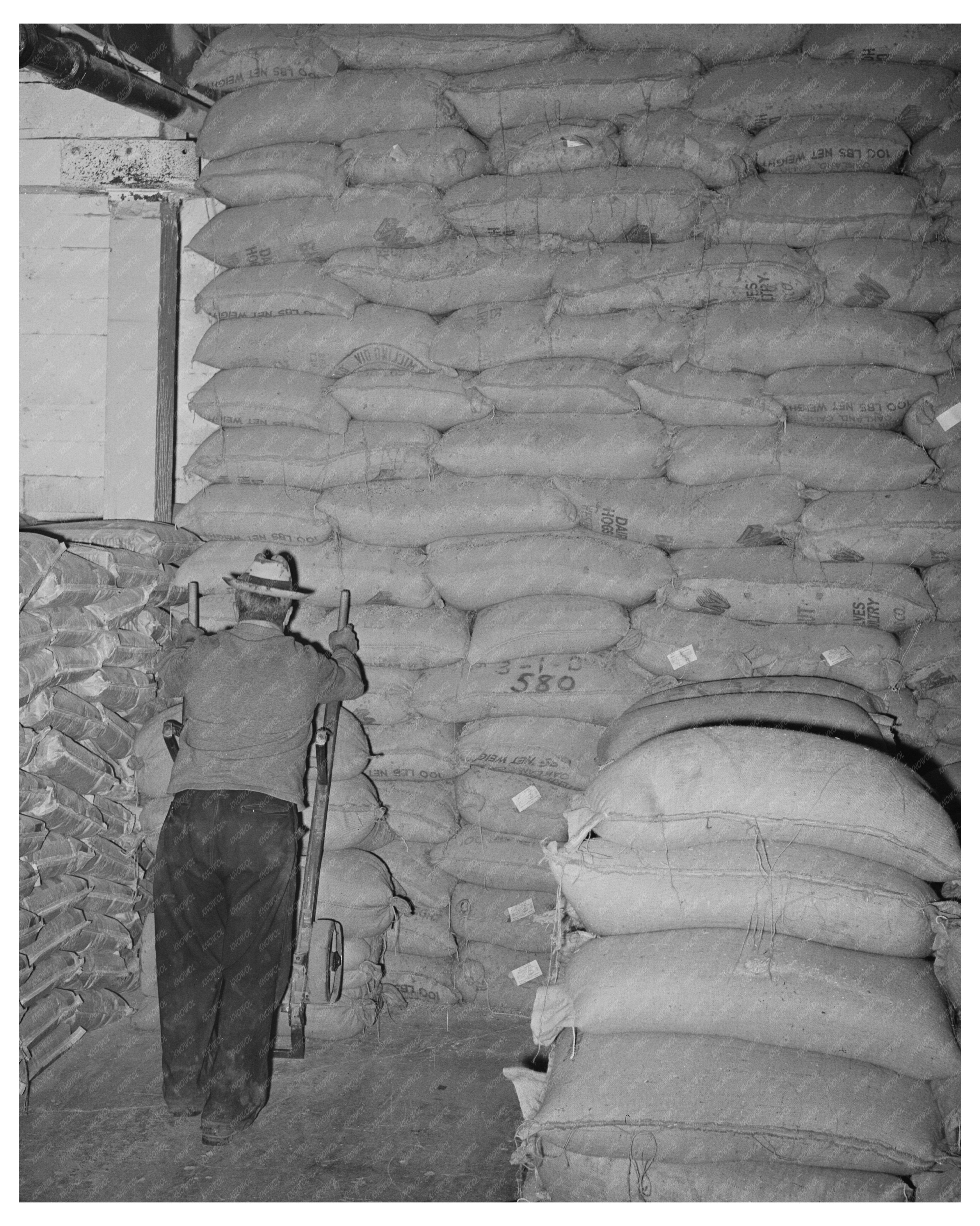 Sacks of Feed in Petaluma Warehouse January 1942