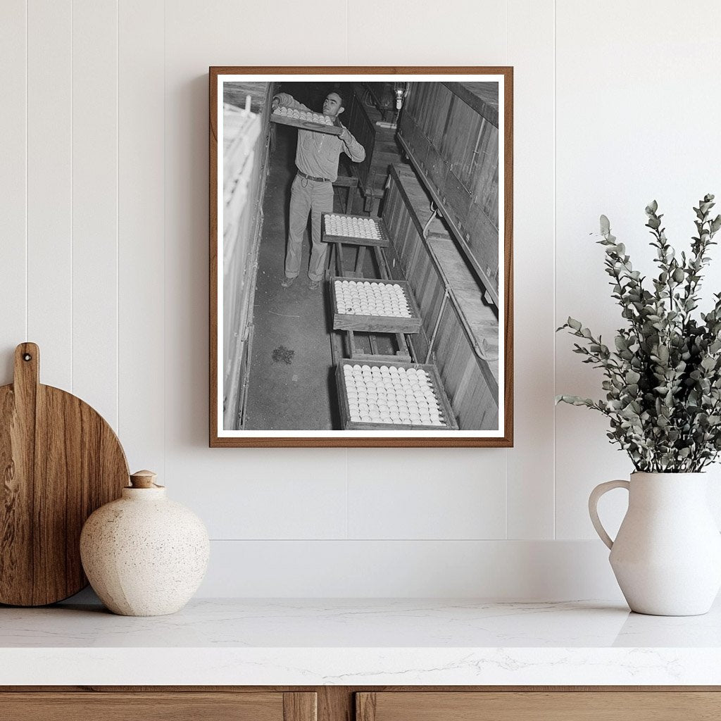 1942 Vintage Hatchery Scene in Petaluma California