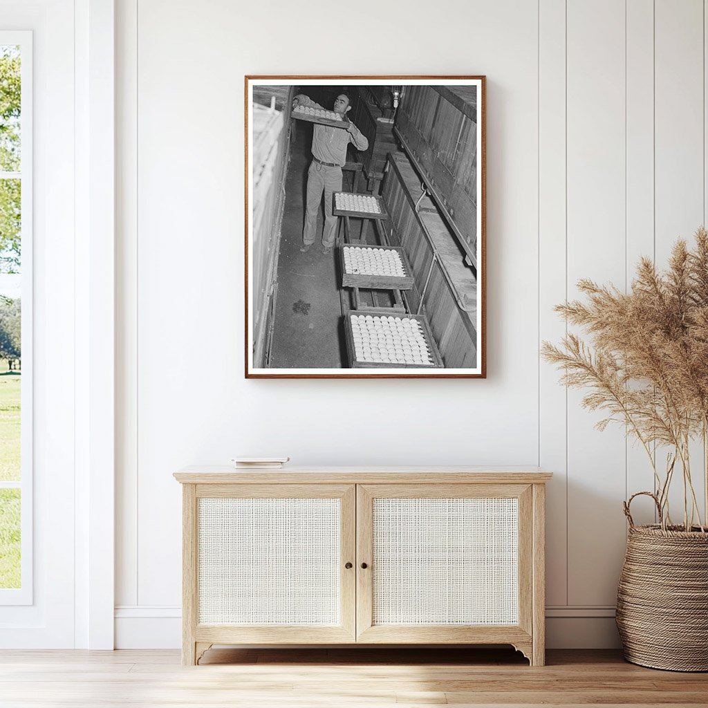 1942 Vintage Hatchery Scene in Petaluma California