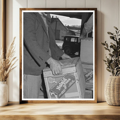 1942 Vintage Workers Loading Eggs in Petaluma California