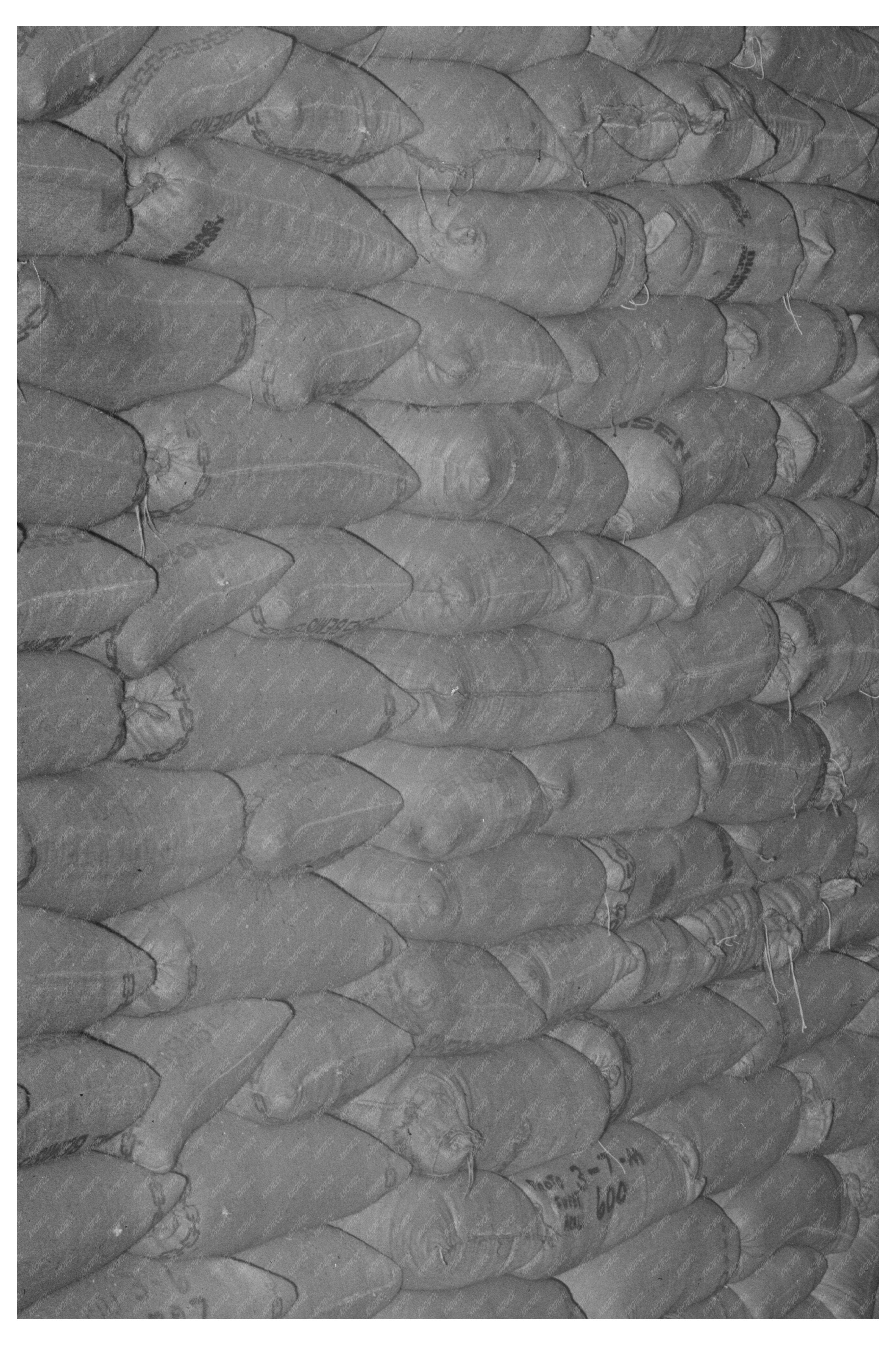 Feed Warehouse in Petaluma California January 1942