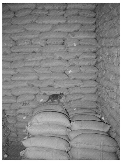 Vintage Feed Mill in Petaluma California 1942