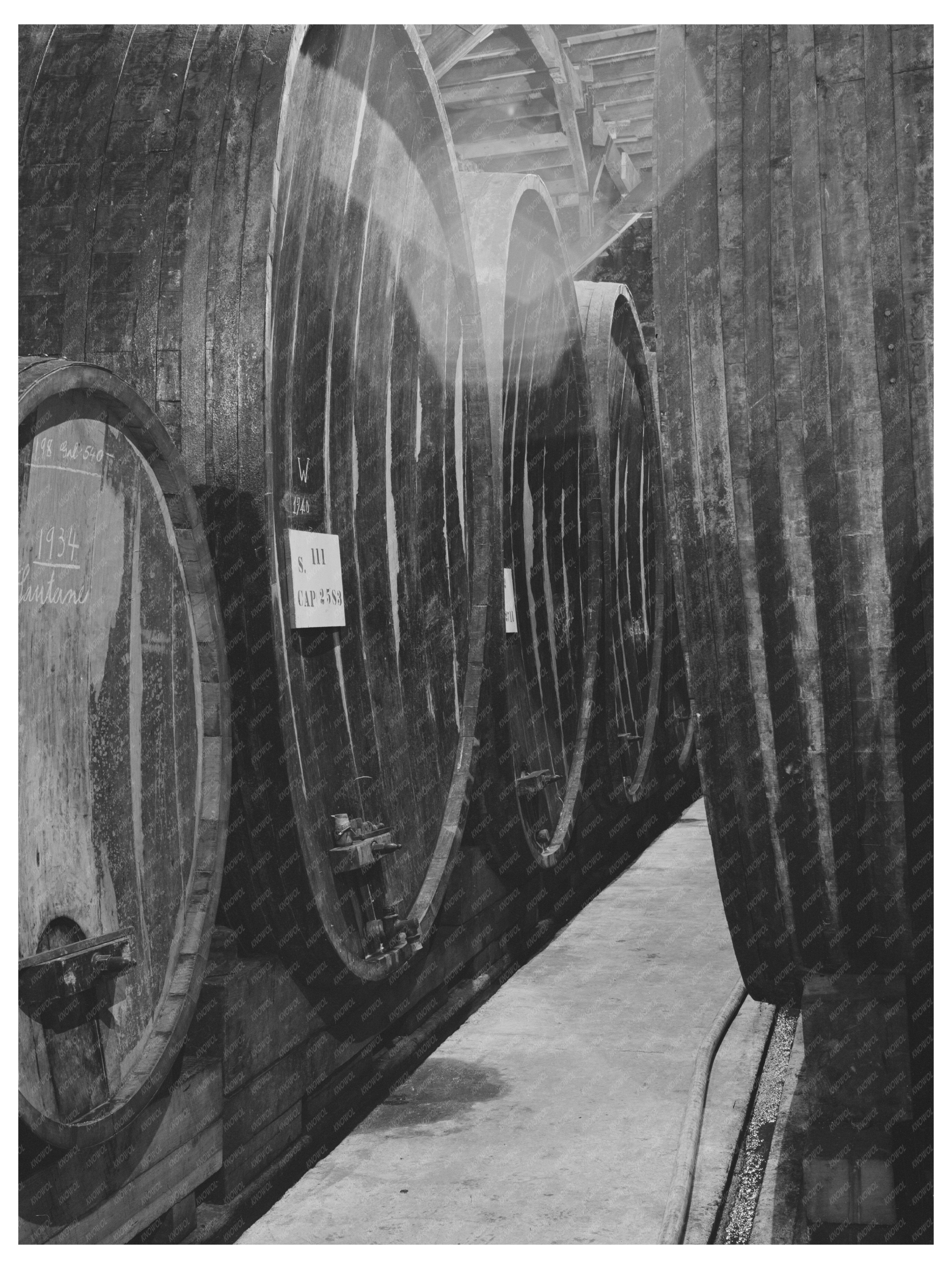 Wine Casks for Aging in Sonoma County 1942