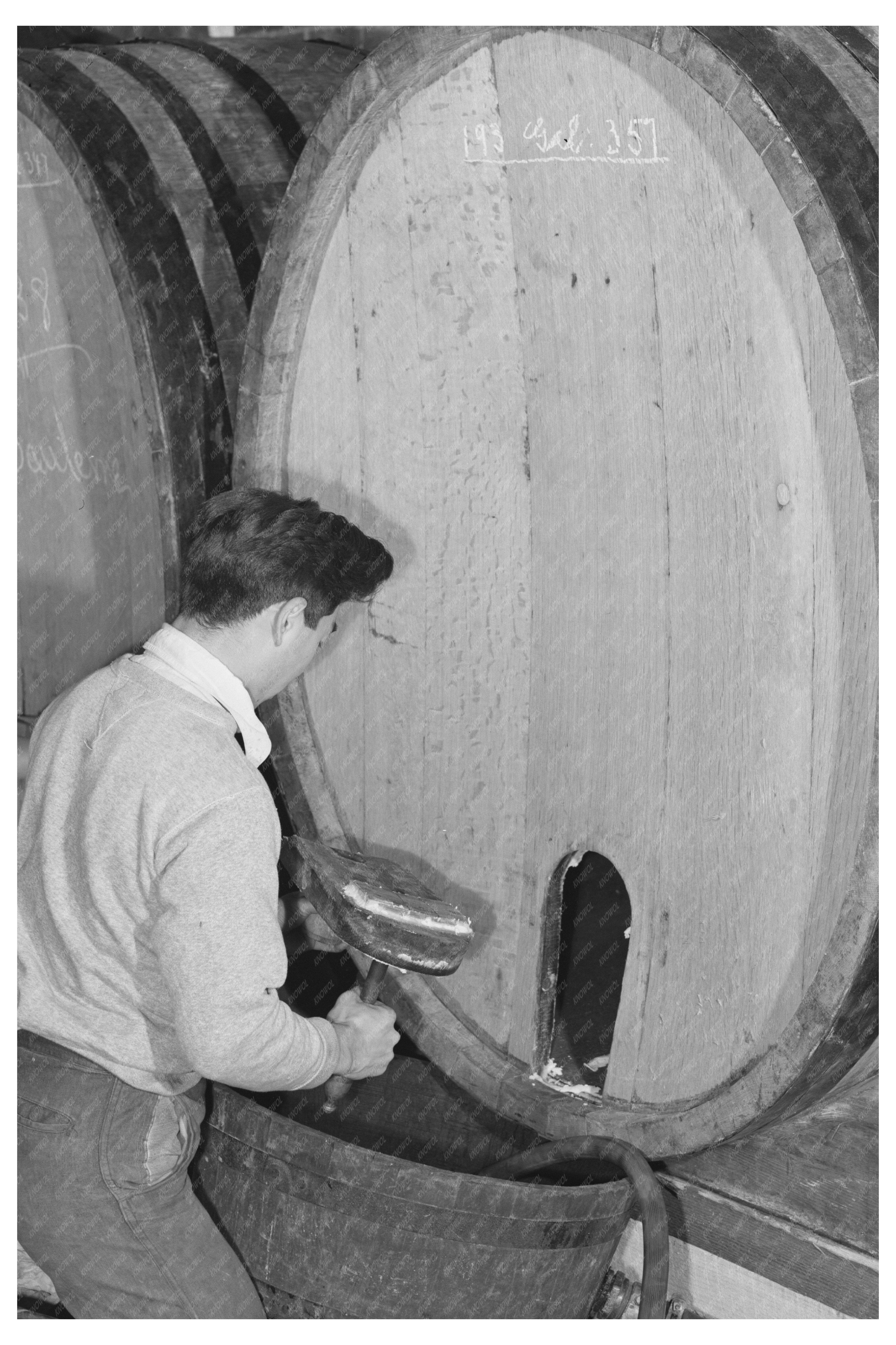 Sonoma County Winery Worker Cleaning Wine Cask 1942