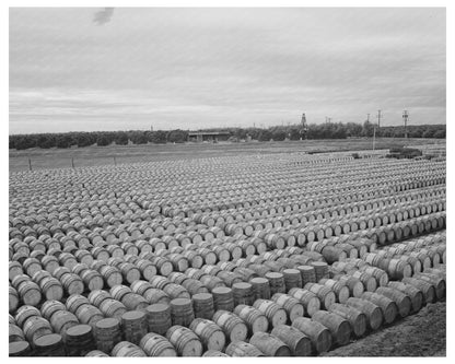 Pickled Olives Displayed in Strathmore California 1942